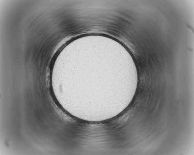 X0000095891126200802011101