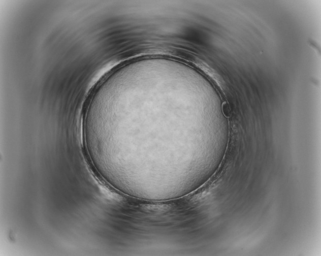 X0000095891127200802011101