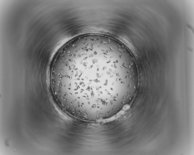 X0000095891128200802011101