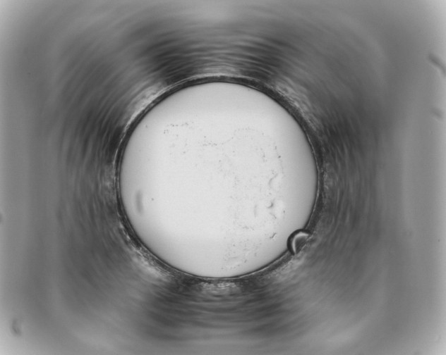 X0000095891129200802011101