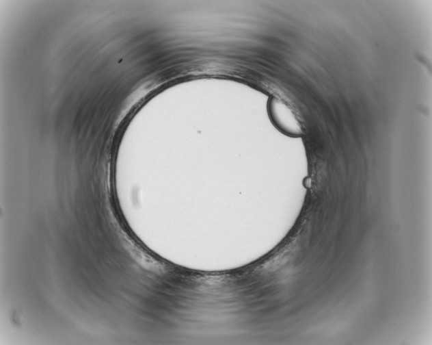 X0000095891130200802011101