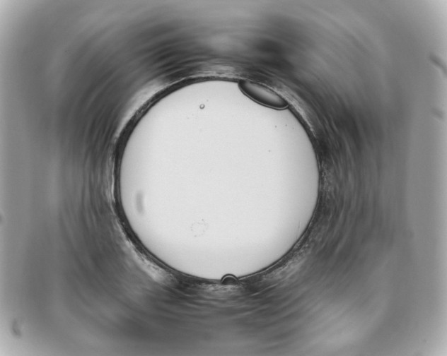 X0000095891131200802011101