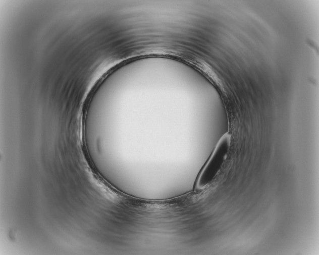 X0000095891132200802011101