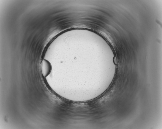 X0000095891133200802011101