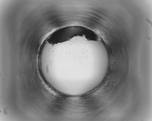 X0000095891134200802011101