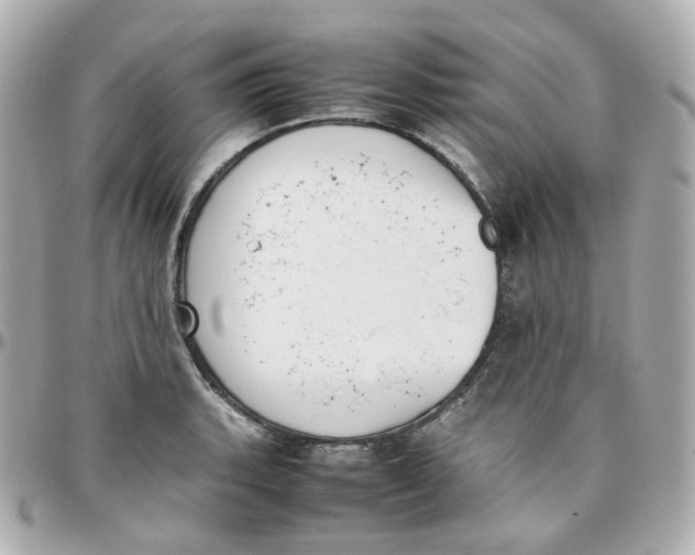 X0000095891135200802011101