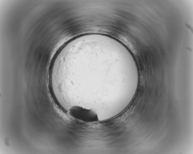 X0000095891136200802011101