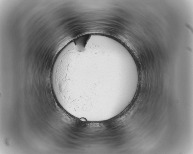 X0000095891137200802011101