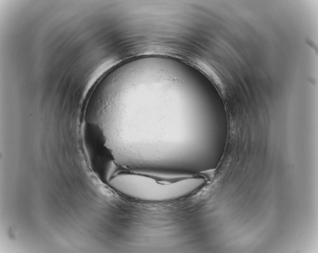 X0000095891138200802011101