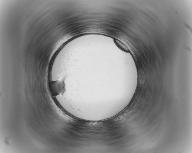 X0000095891139200802011101