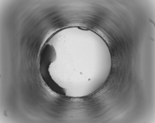 X0000095891140200802011101