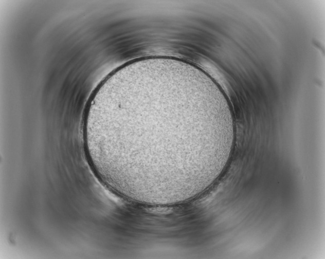 X0000095891141200802011101