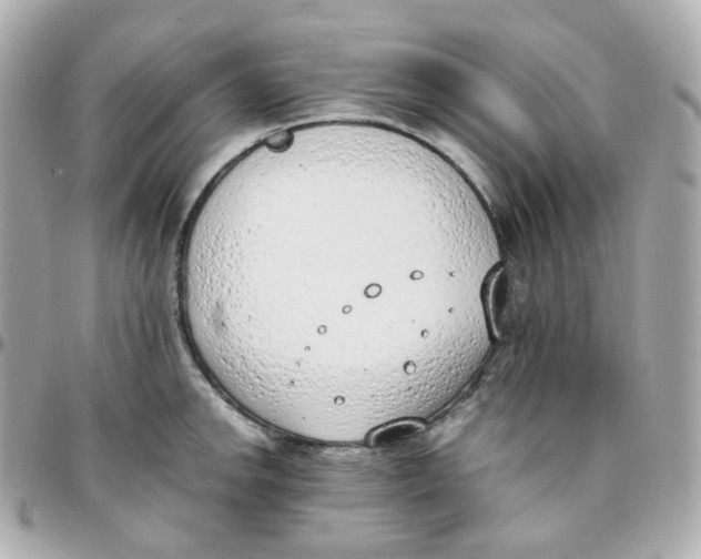 X0000095891142200802011101