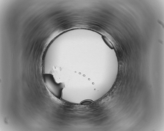 X0000095891143200802011101