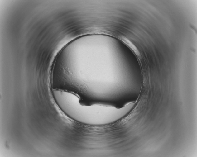 X0000095891144200802011101