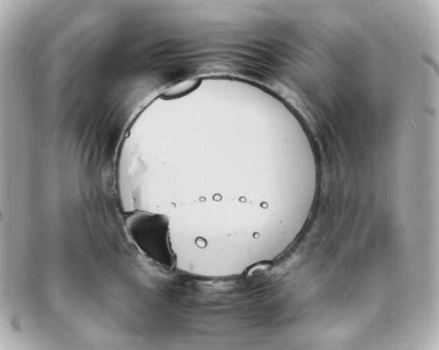 X0000095891145200802011101