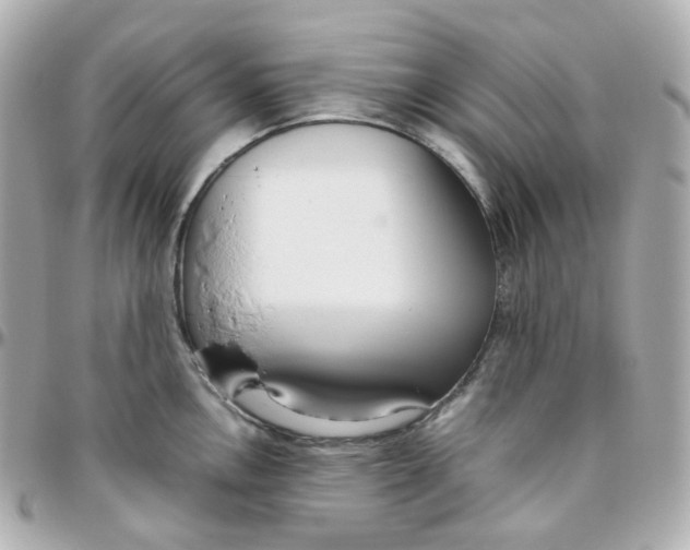 X0000095891146200802011101