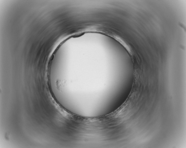 X0000095891148200802011101