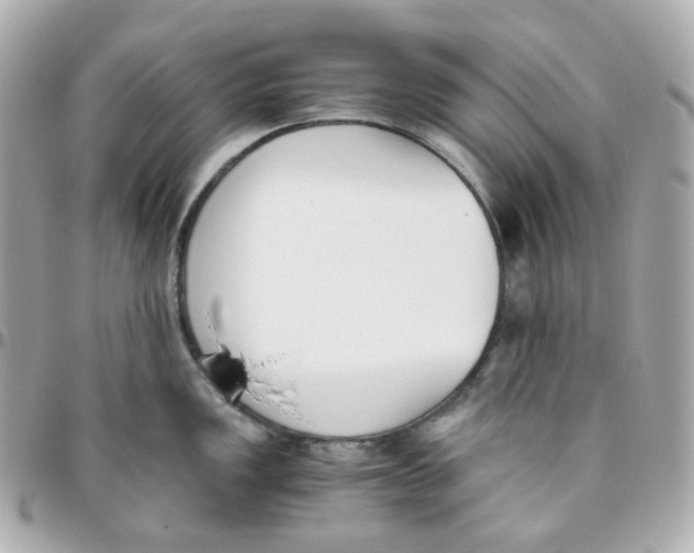 X0000095891149200802011101