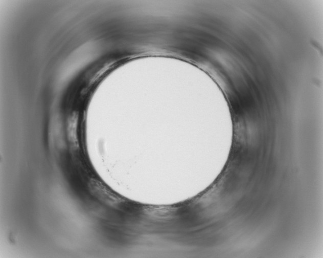 X0000095891150200802011101