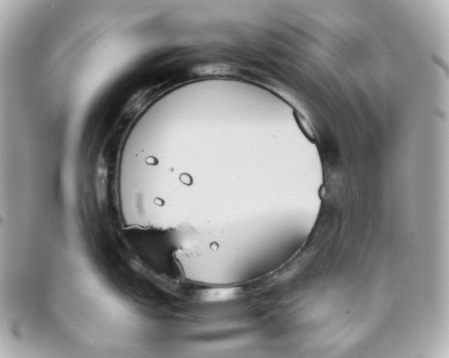 X0000095891151200802011101