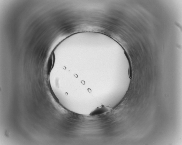 X0000095891152200802011101