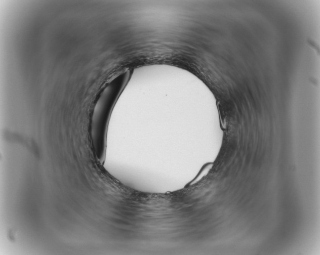 X0000095891153200802011100