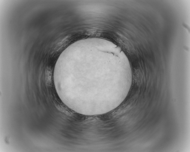 X0000095891154200802011100