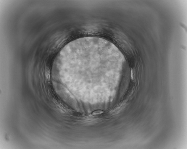 X0000095891155200802011100