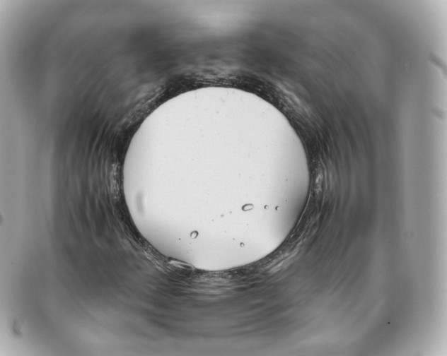 X0000095891156200802011100