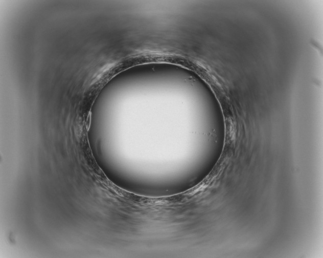 X0000095891157200802011100