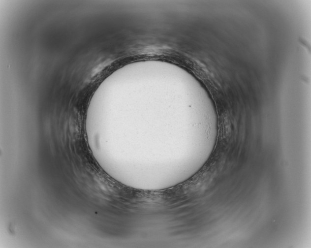 X0000095891158200802011100