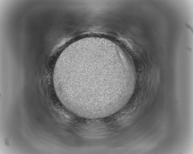 X0000095891159200802011100