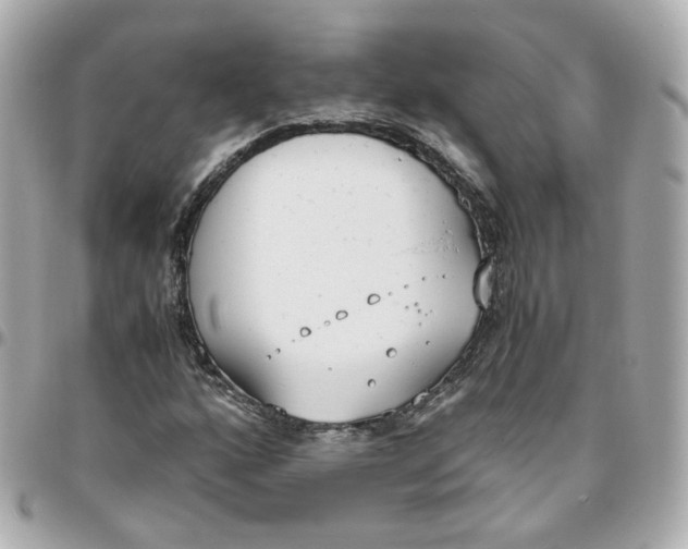 X0000095891160200802011100