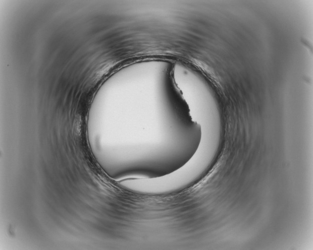 X0000095891161200802011100