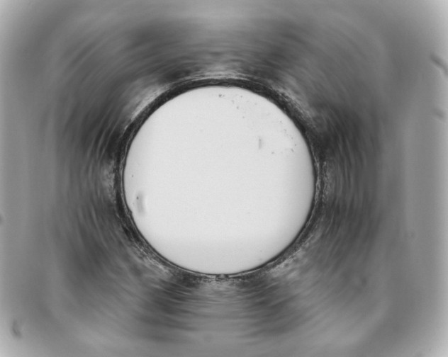 X0000095891162200802011100