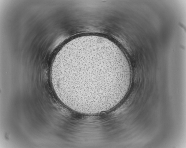 X0000095891163200802011100