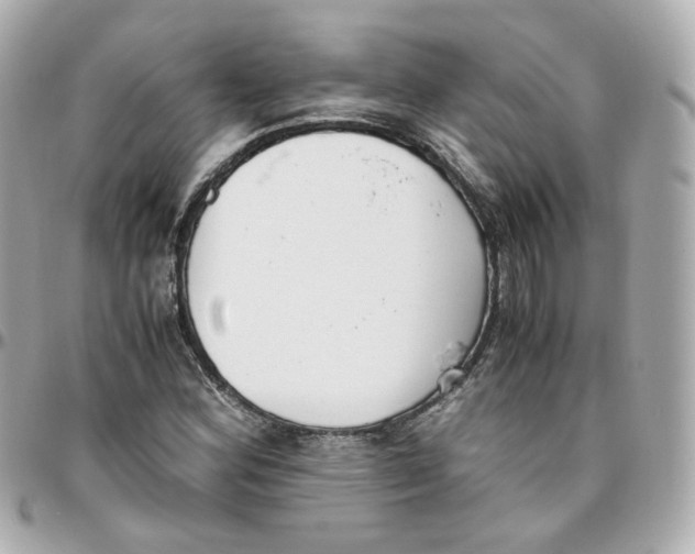 X0000095891164200802011100