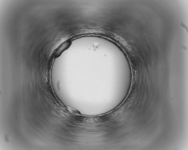 X0000095891165200802011100