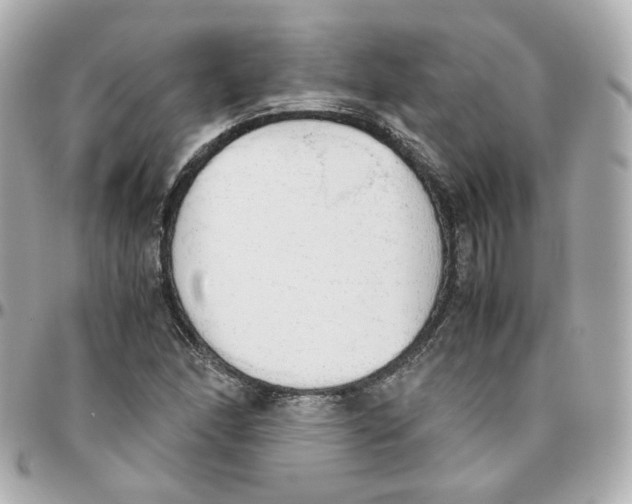 X0000095891166200802011100