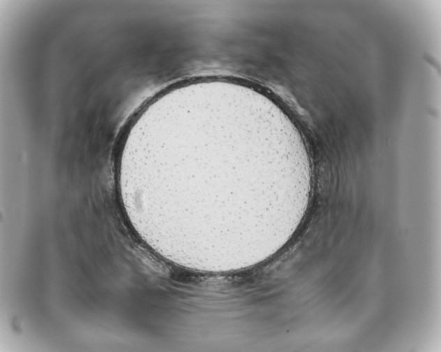 X0000095891167200802011100