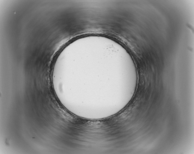 X0000095891168200802011100