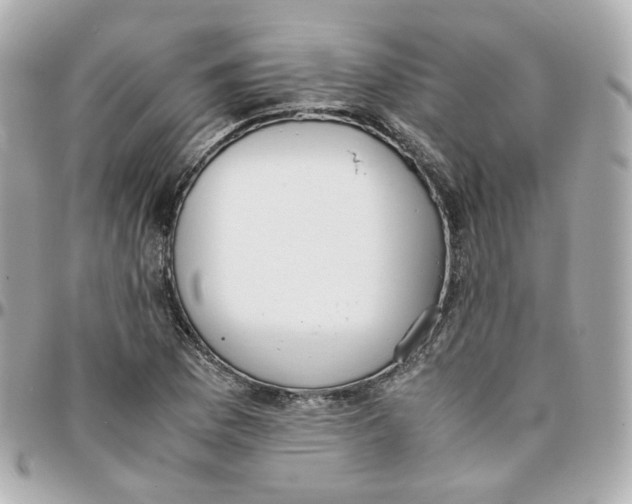 X0000095891169200802011100