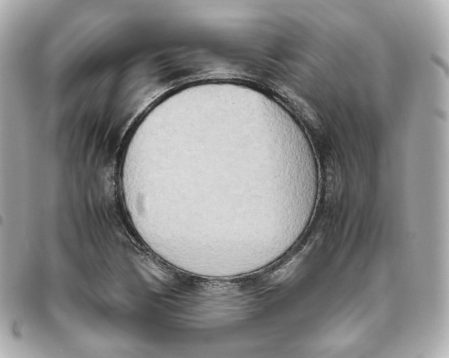 X0000095891170200802011100