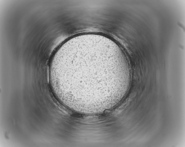 X0000095891171200802011100