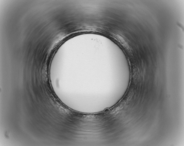 X0000095891172200802011100