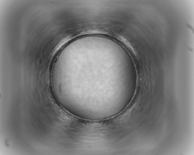 X0000095891173200802011100