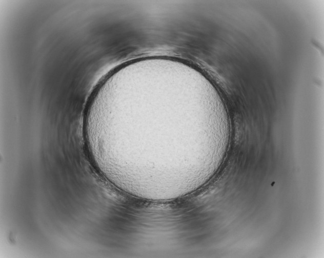 X0000095891174200802011100