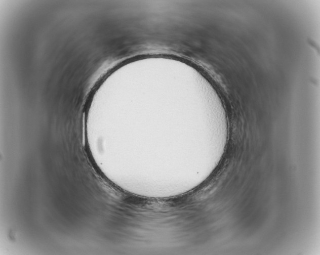 X0000095891175200802011100