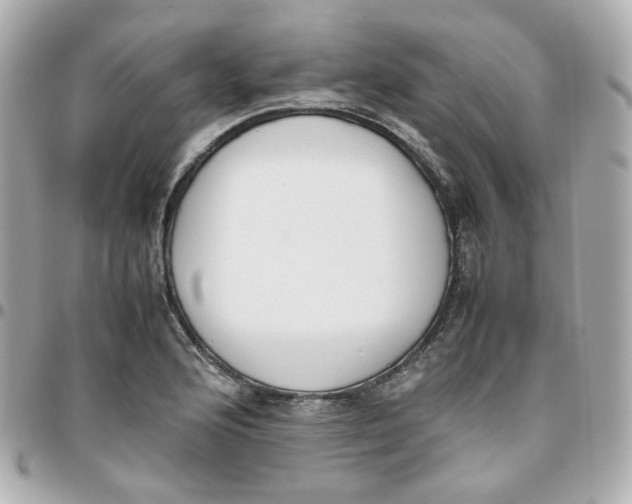 X0000095891176200802011100